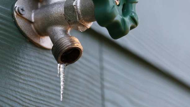 Best Local Plumber Services  in Leonville, LA